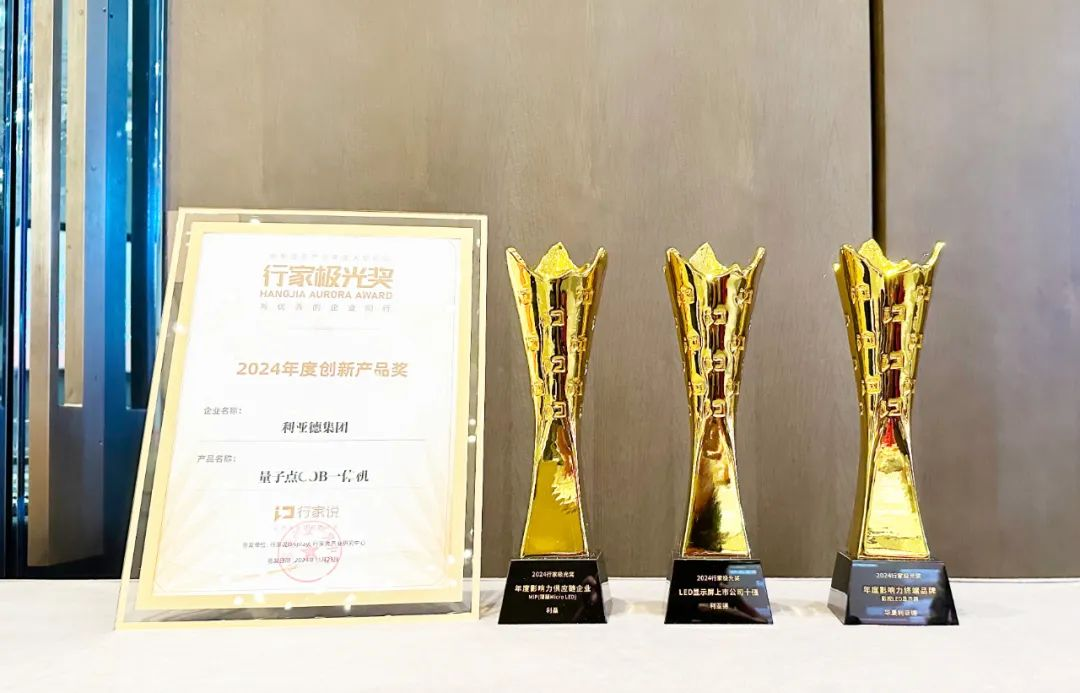 霸榜 | 四大榜单尽数囊括，EVO视讯官方网站集团连续五年斩获“极光”大奖